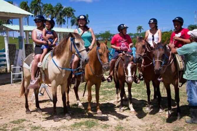 8-Hour Tour Enjoying the Dominican Culture Through the Countryside - Who Will Love This Tour?