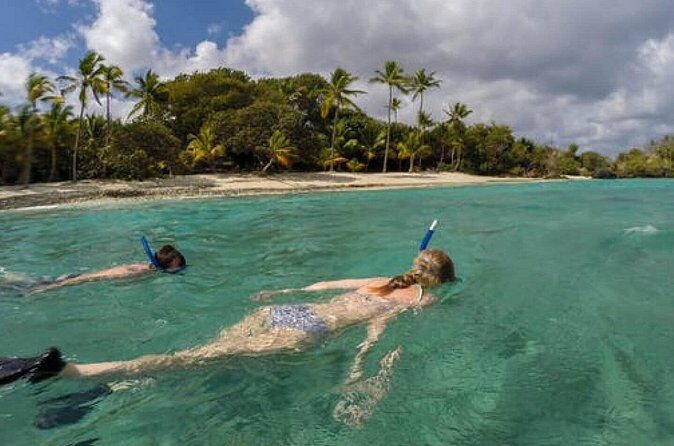 Admission Ticket to Coral World & Coki Point Beach with Snorkeling - Transportation: To and From Your Resort