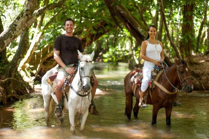 Adventure in the bay of samana and waterfall El limon from punta cana - What Travelers Say: Authentic Perspectives