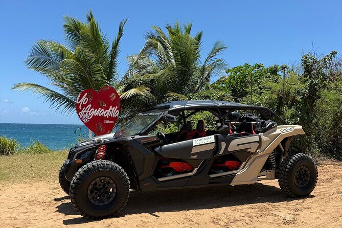 Aguadilla UTV Off-Road Tour to Faro Ruins! - Why Travelers Love It