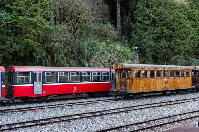 Alishan Join In Day Tour from Taichung (Incl. Park Entrance) - A Complete Look at the Tour Experience