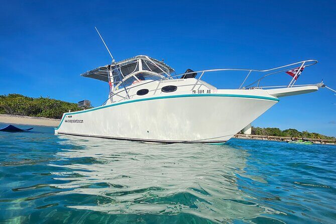 All-Inclusive: Mako 29ft Boat Tour to Icacos Palomino & Palominito - Practical Considerations