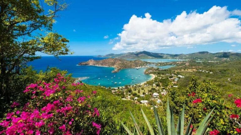 Antigua: Shirley Heights Sunset Party Transfer - What’s Included and What to Consider