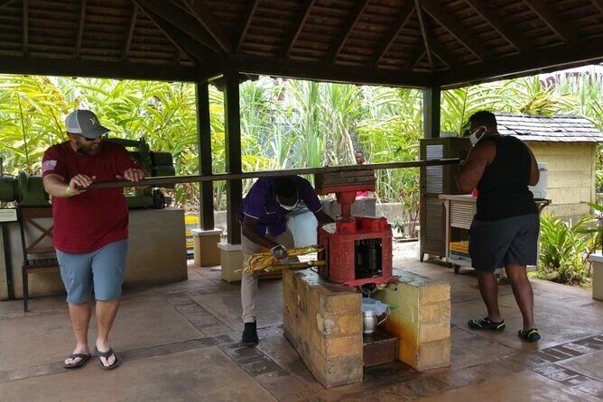 Appleton Estate Rum Tour and Pelican Bar Customize Tour - Practicalities: What You Need to Know
