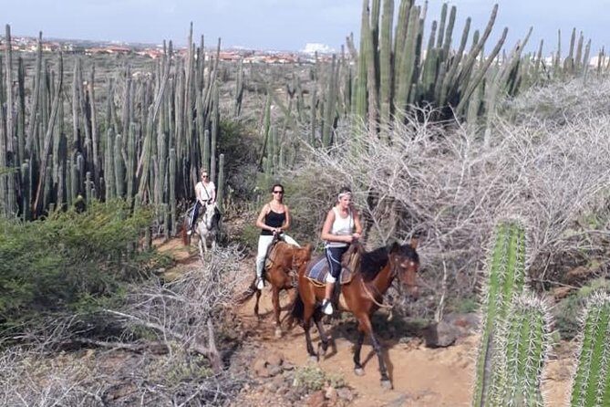 Aruba 2,5 hrs Horseback Riding For Advanced Riders - Final Thoughts: Why Choose This Adventure?