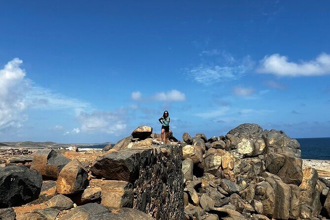 Aruba Private Jeep Tour with Local Guide - Who Is This Tour Best Suited For?