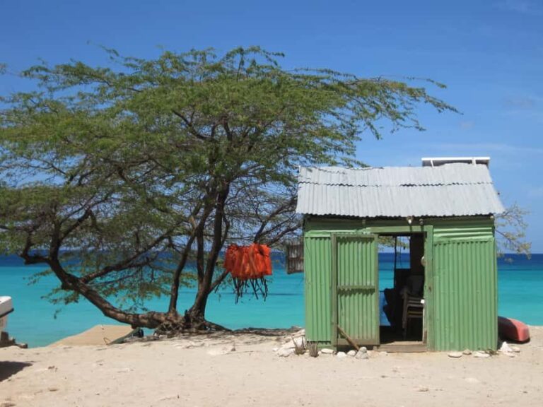 Bahía de las Aguilas: Beach Day Trip by Boat - Who Will Love This Tour?