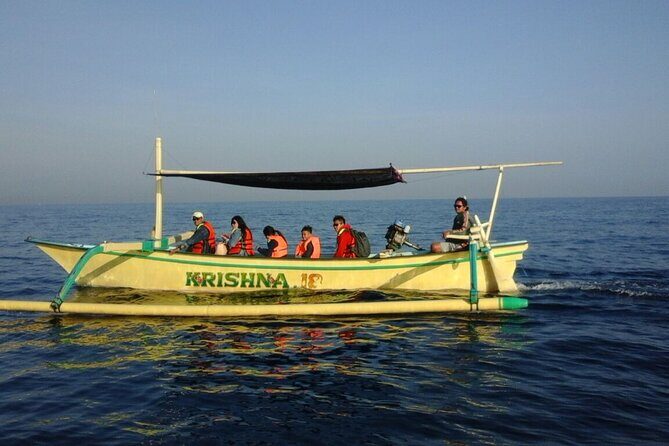 Bali Lovina Dolphin and North Bali Sightseeing - All Inclusive - What Travelers Love About This Tour