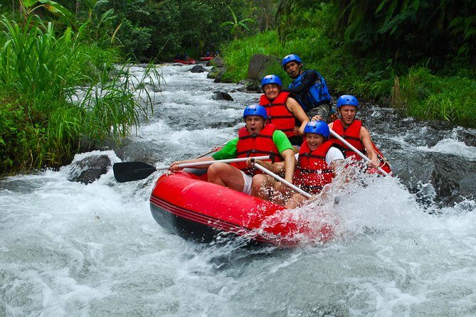 Bali White Water Rafting at Telaga Waja River - Real Traveler Experiences and Insights