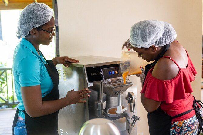 Barbados Fruit to Scoop Culinary Experience : Taste & Make Sorbet - Who Will Love This Tour?