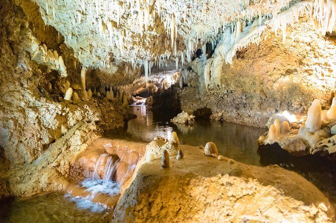 Barbados Harrison's Cave and Atlantis Submarine Dive Tour - Who Will Love This Tour?