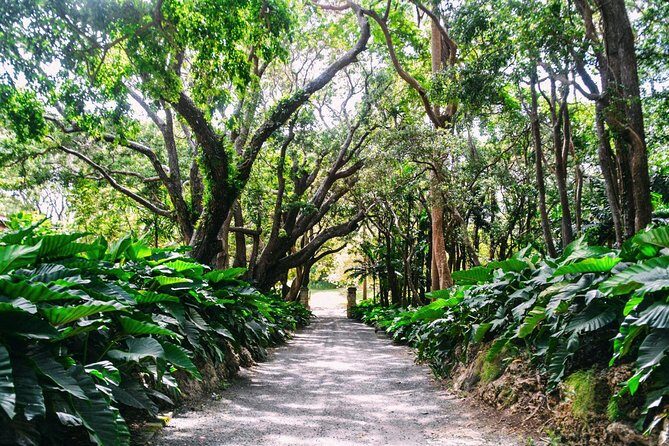 Barbados Harrison's Cave and St Nicolas Abbey Tour - Practical Tips for Travelers