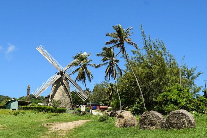 Barbados Highlights and Rum Tour - Exploring the Itinerary in Detail