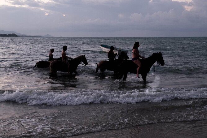 Beach Horse Ride with countryside amber cove & Taino Bay - What to Expect from the Beach Horse Ride Experience