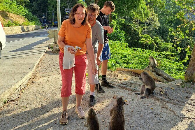 Best Lombok Rice Terrace Walking Tour With Waterfall & Monkey - What’s Included and What’s Not
