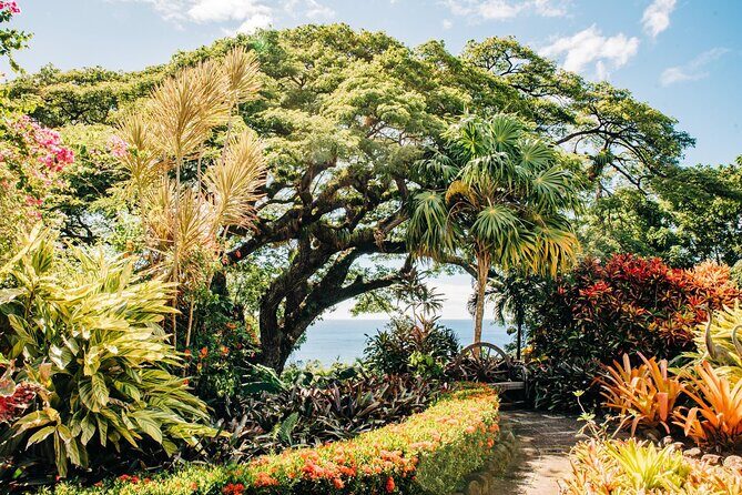 Best of St. Kitts Private Half Day Tour - Thorough Breakdown of the Itinerary