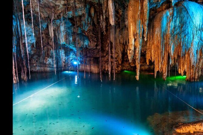 Bioluminescence Lagoon Tour from Montego Bay with Pick Up - Deep Dive into the Itinerary