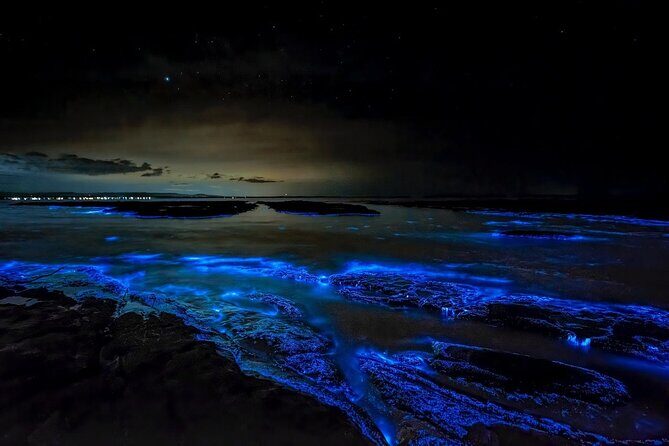 Bioluminescent Bay Adventure in Grand Cayman - Authentic Experiences and Real Insights