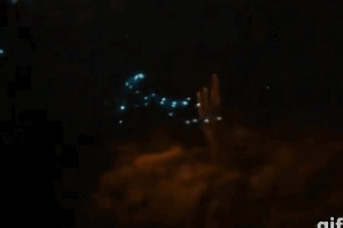 Bioluminescent Night Snorkeling - The Real Value of the Experience