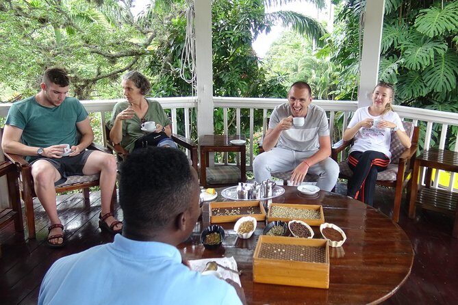 Blue Mountain Coffee and Sightseeing Tour - Who Should Consider This Tour?
