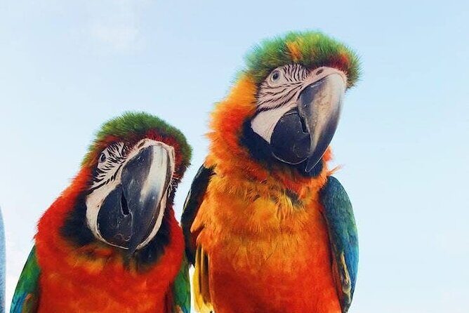 BOOGIES/BUGGY & ATV -# 1 Adventures IN PUNTACANA - Who Will Love This Tour?