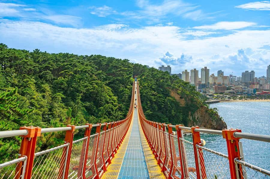 Busan: 7 Highlights Gyeongju City One Day Tour - Authentic Experiences and Practical Details