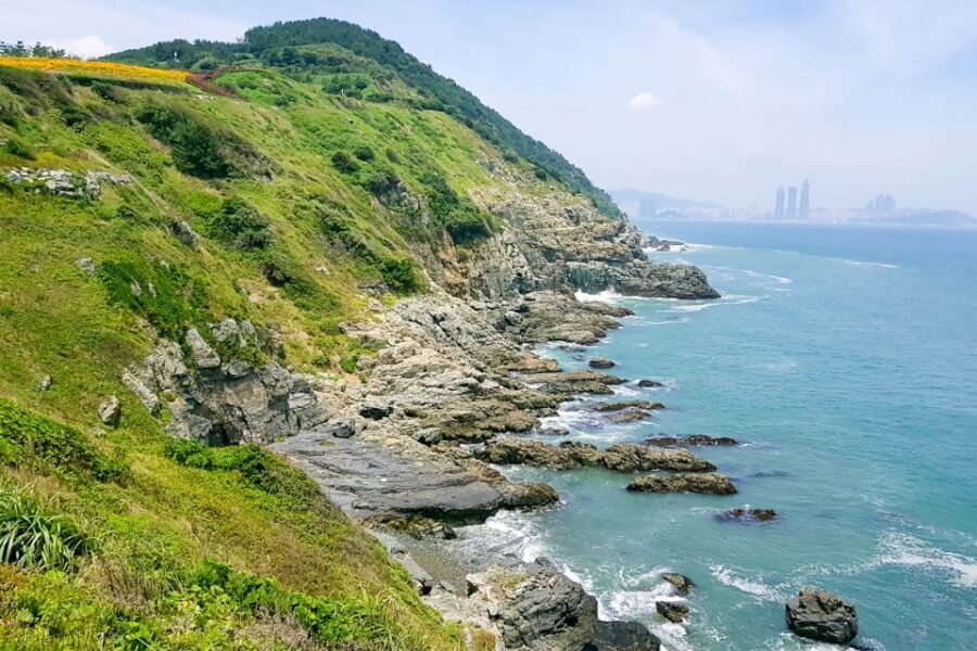 Busan: Haedong Yonggungsa Temple, Camellias Island & More - Scenic Coastal Walks and Beaches