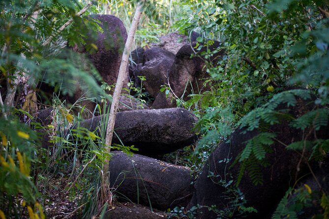 Caribbean Stonehenge - Hike on Green Castle Hill, Antigua. - Final Thoughts