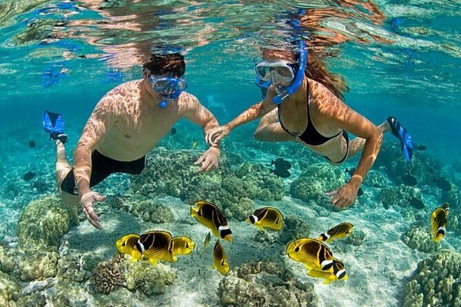 Catamaran Party in Punta Cana Includes Drink and Transportation - Who Is This Tour Best For?