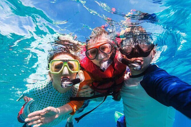 Cayman Adventure: Starfish Point, Stingray City and Coral Gardens - Authentic Insights From Travelers