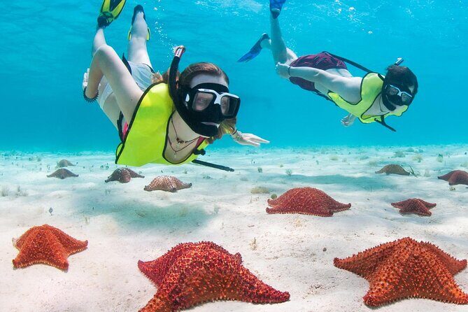 Cayman Combo Tour: Stingrays, Starfish Point and Crystal Caves - Authentic Experiences and Insights from Reviews