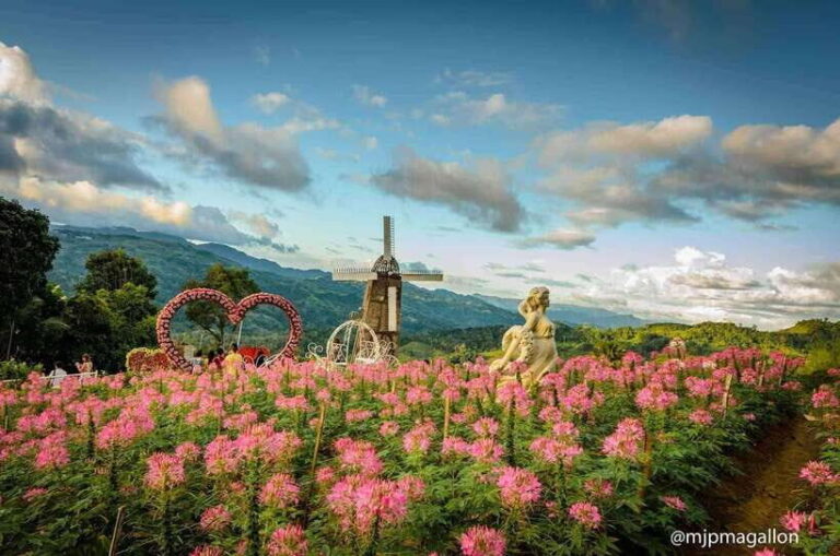 Cebu City: Historical, Local Cuisine & Mountain Guided Tour - Who Will Love This Tour?