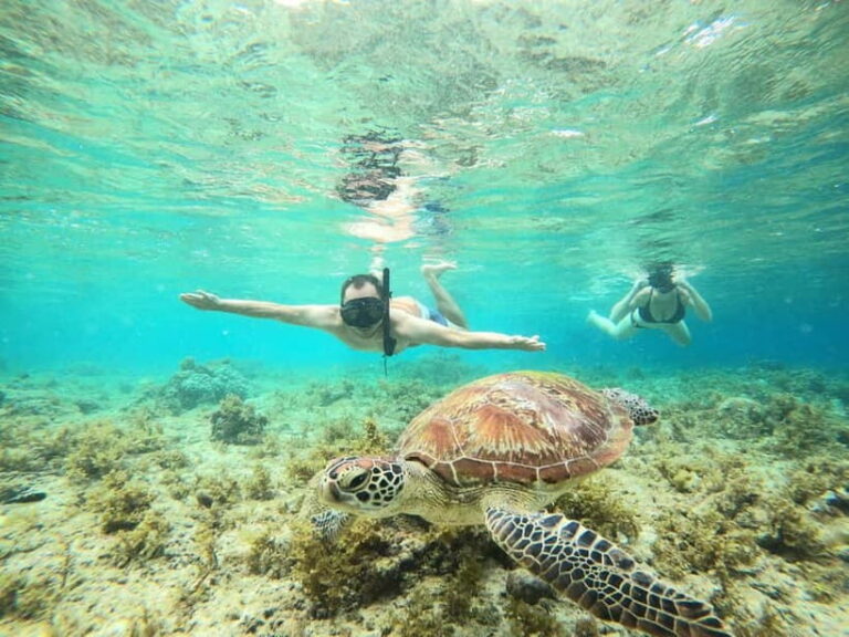 Cebu: Sardine Run Snorkeling, Mantayupan Falls & ATV Thrills - Itinerary Breakdown and Practical Details