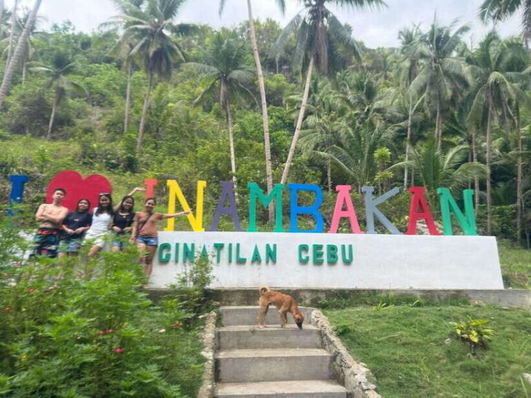 Cebu: Whale Shark, Inambakan Falls & Moalboal Sardine Tour - A Day in Cebu: What to Expect from the Tour