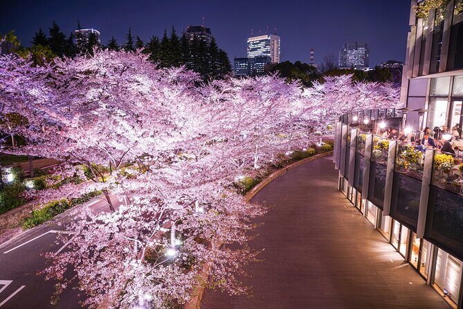 Cherry Blossom Private Tour - Pricing and Value
