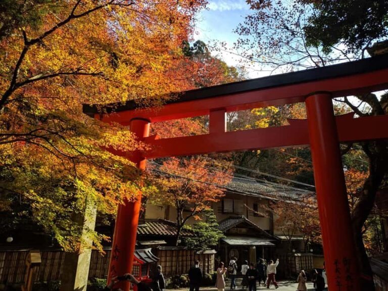 Craig's Kyoto Private Luxury Alphard Tour / The Early Riser - Who Should Book This Tour?