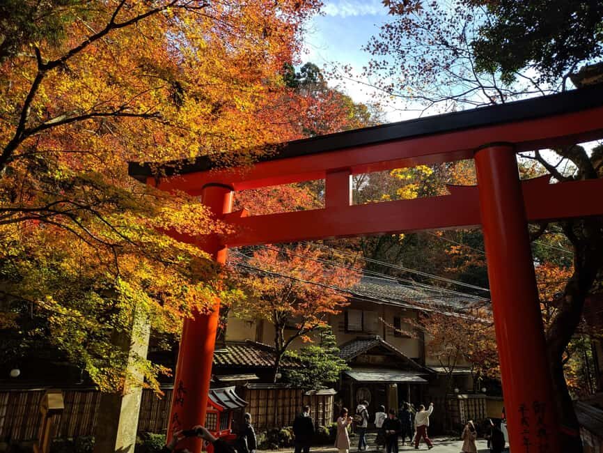 Craig's Kyoto Private Luxury Alphard Tour / The Early Riser - Who Should Book This Tour?