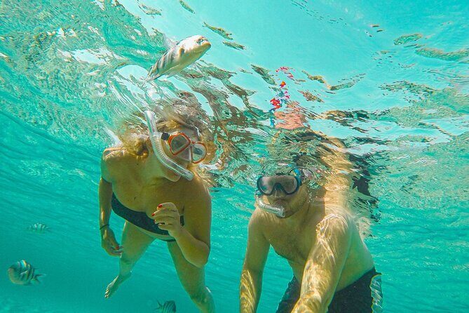 Curacao: Private Boat Tour Half Day - Authentic Experiences and Reviews