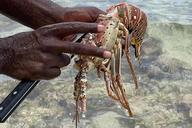 Day Trip to Negril from Montego Bay/Boat Ride to Booby Cay Island/Lobster Lunch - Transportation and Group Size