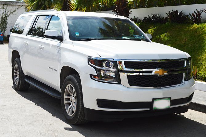 Departure Luxury Transportation: Hotels to Punta Cana International Airport(1-5) - Why the Service Gets High Marks