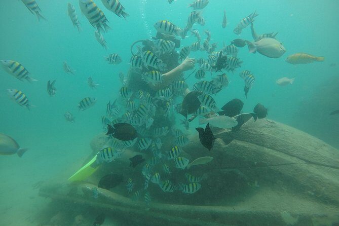 Discover Scuba Diving ( beginners) Combined With Jet Ski - The Itinerary in Detail