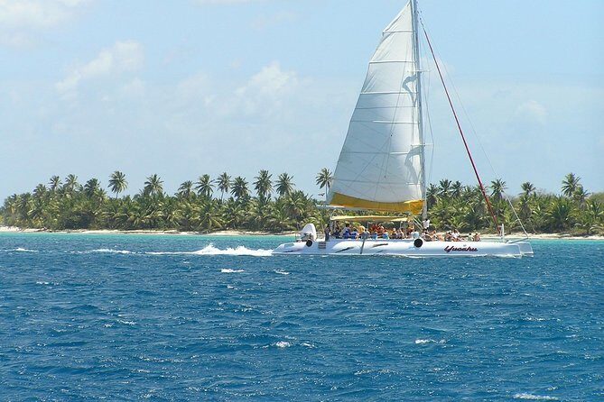 Discovery Package Saona Island & Buggies From Punta Cana - Deep Dive into the Experience