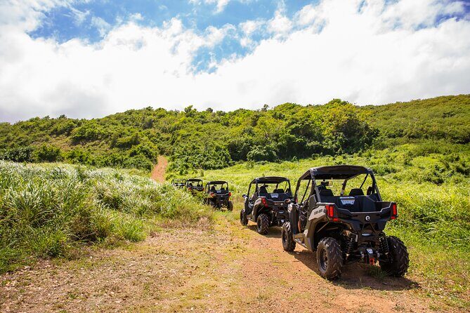 Dos Mares and Rainforest UTV Adventure Tour in Fajardo - What to Expect: An Overview of the Itinerary