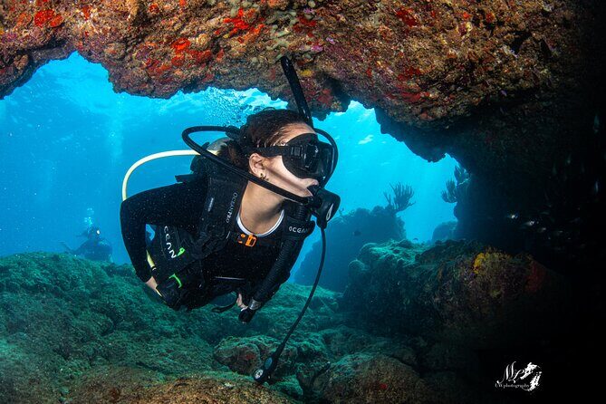 Experience Scuba - Why This Tour Stands Out