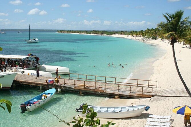 Explore Catalina Island & Snorkeling Adventure from Punta Cana - What Do Travelers Like Most?