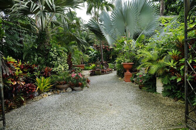 Explore the Enchanted Gardens of Barbados - Huntes Gardens: Artistic Nature