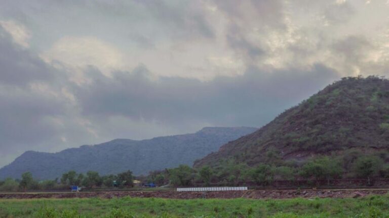 Farm to Table: With a local farmer family - Cooking Traditional Dishes