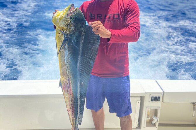 Fishing And Eating Straight From The Sea ( SAONA ISLAND AND PALMILLA) - The Journey Offshore: Fishing and the Natural Pool