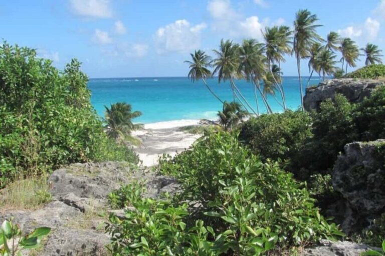 From Bridgetown: Barbados Coast To Coast Half-Day Tour - What Makes This Tour Stand Out