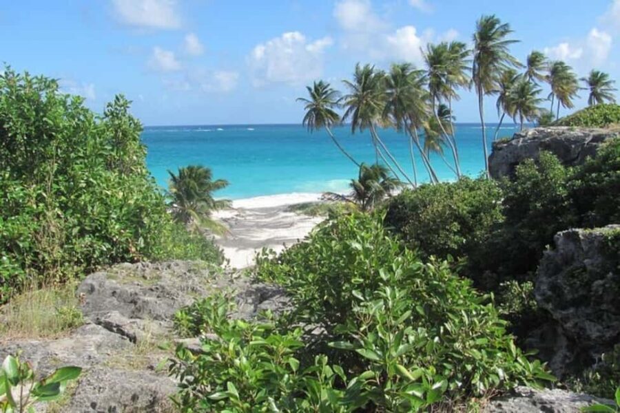 From Bridgetown: Barbados Coast To Coast Half-Day Tour - What Makes This Tour Stand Out